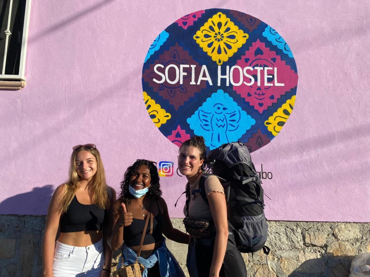 Sofia Hostel Cabo Cabo San Lucas Exteriér fotografie