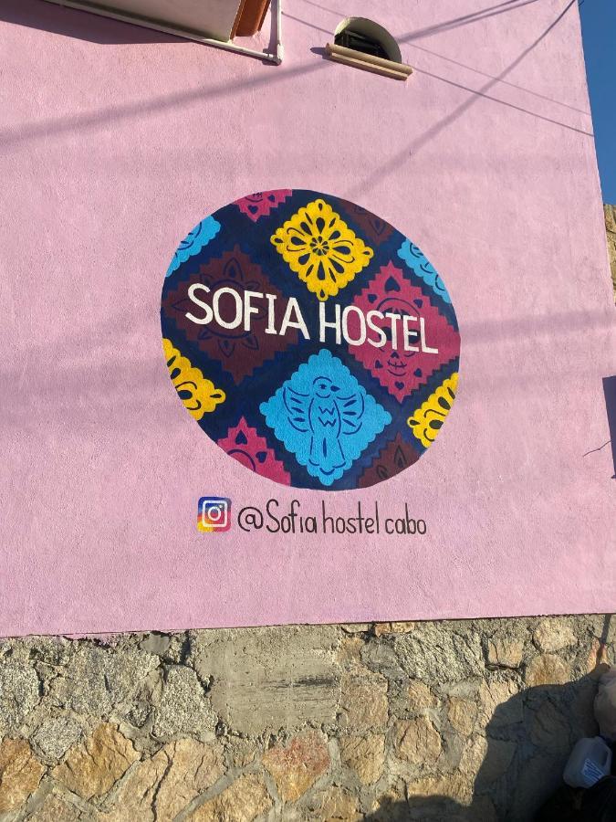 Sofia Hostel Cabo Cabo San Lucas Exteriér fotografie